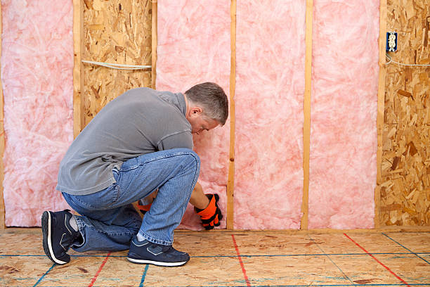 Best Geographic-Specific Insulation Services in USA